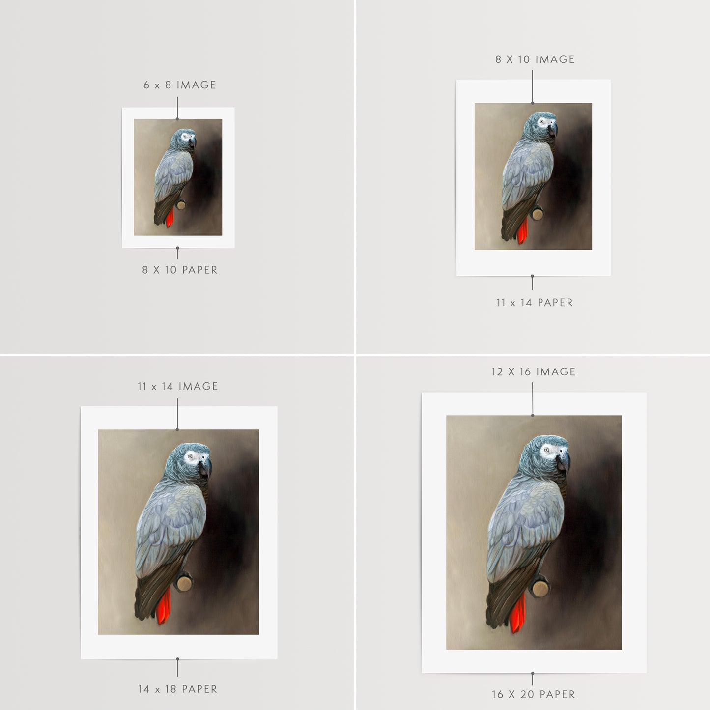This artwork features a Congo African Grey Parrot perched adjacent to a dark grey wall with dramatic side lighting.