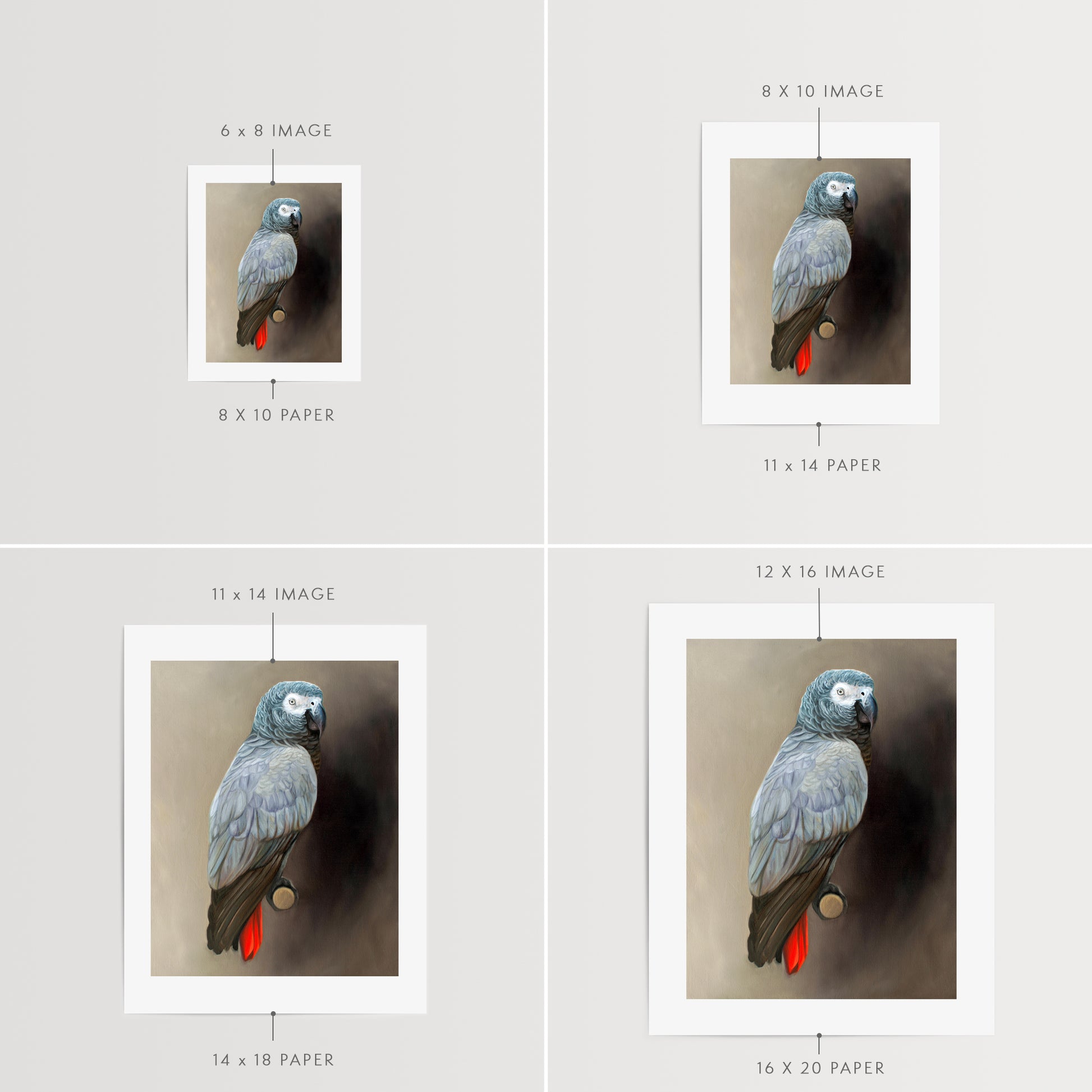 This artwork features a Congo African Grey Parrot perched adjacent to a dark grey wall with dramatic side lighting.