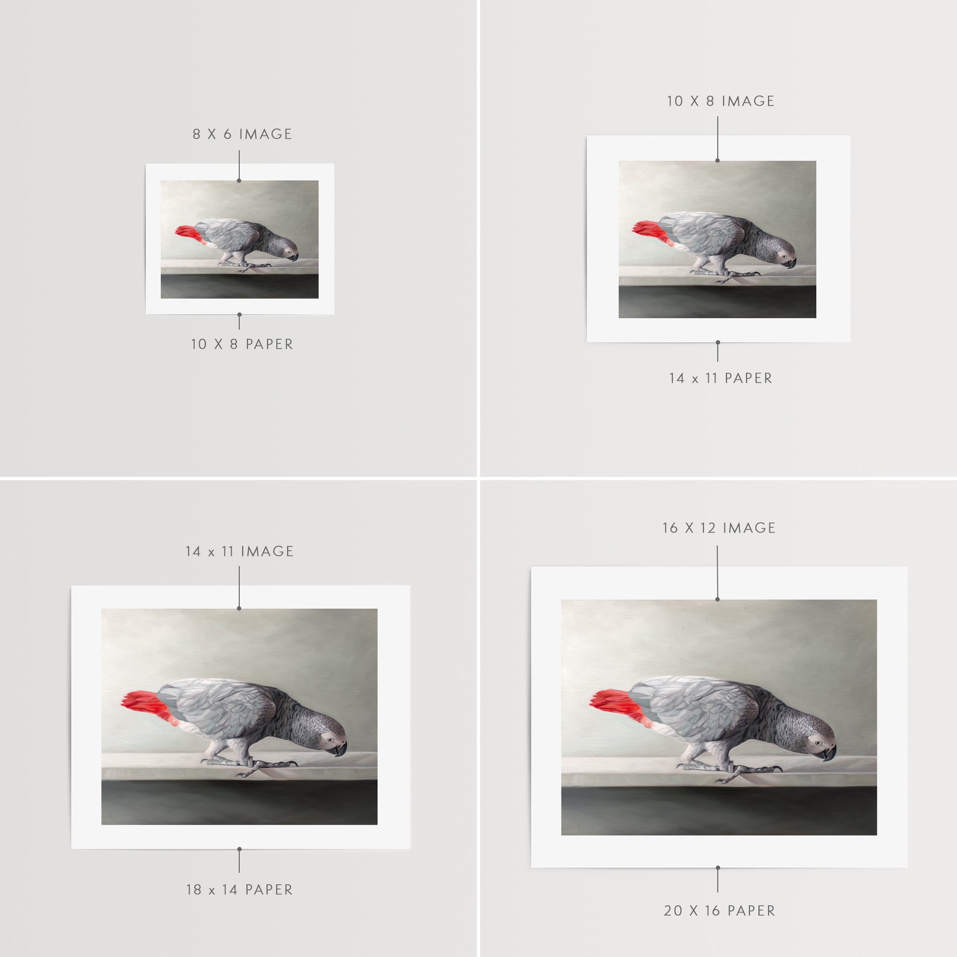 This artwork features a Congo African Grey Parrot curiously peeking over the edge of a white shelf.