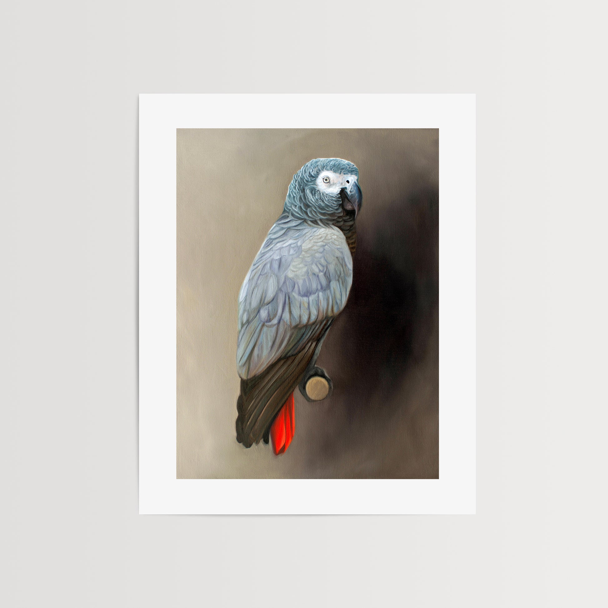 This artwork features a Congo African Grey Parrot perched adjacent to a dark grey wall with dramatic side lighting.