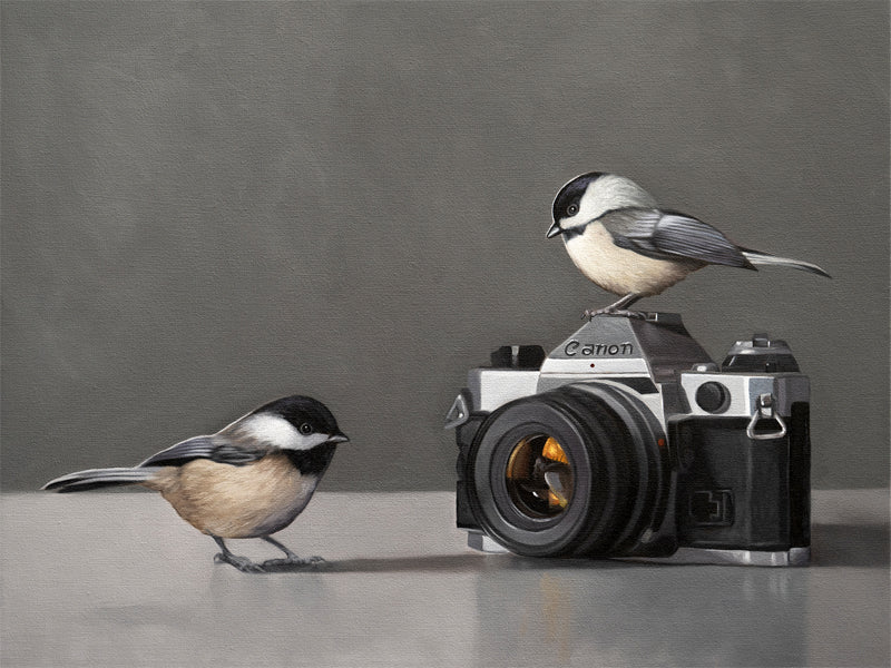 This artwork features a pair of inquisitive Chickadees investigating a vintage 35mm Canon Camera.
