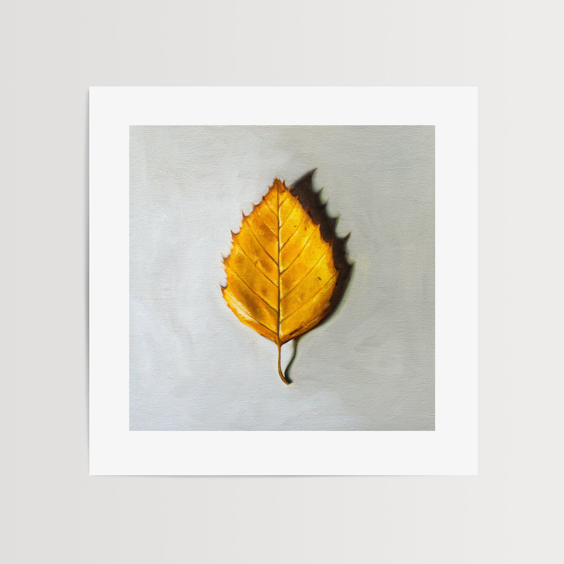 This artwork features a single Birch tree leaf in its brilliant Autumn yellow color.