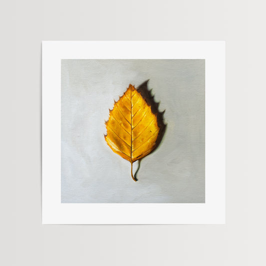 This artwork features a single Birch tree leaf in its brilliant Autumn yellow color.
