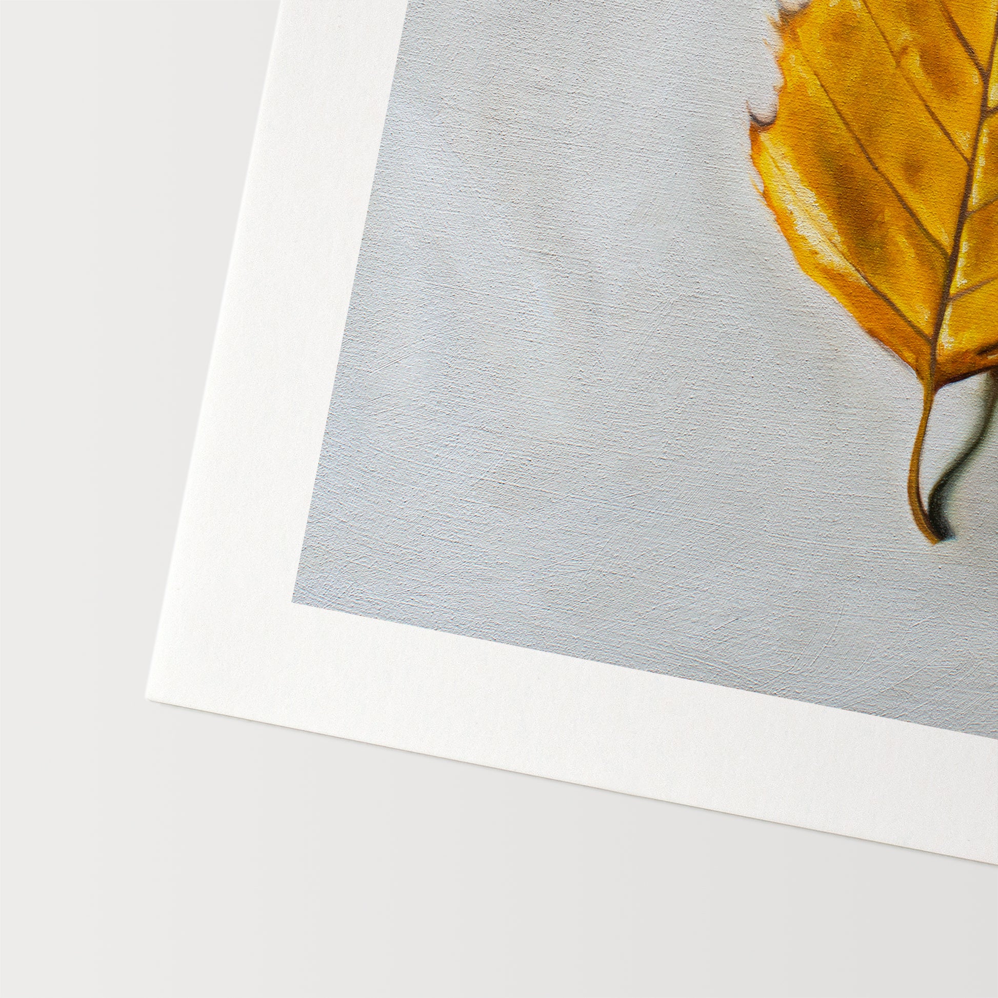 This artwork features a single Birch tree leaf in its brilliant Autumn yellow color.