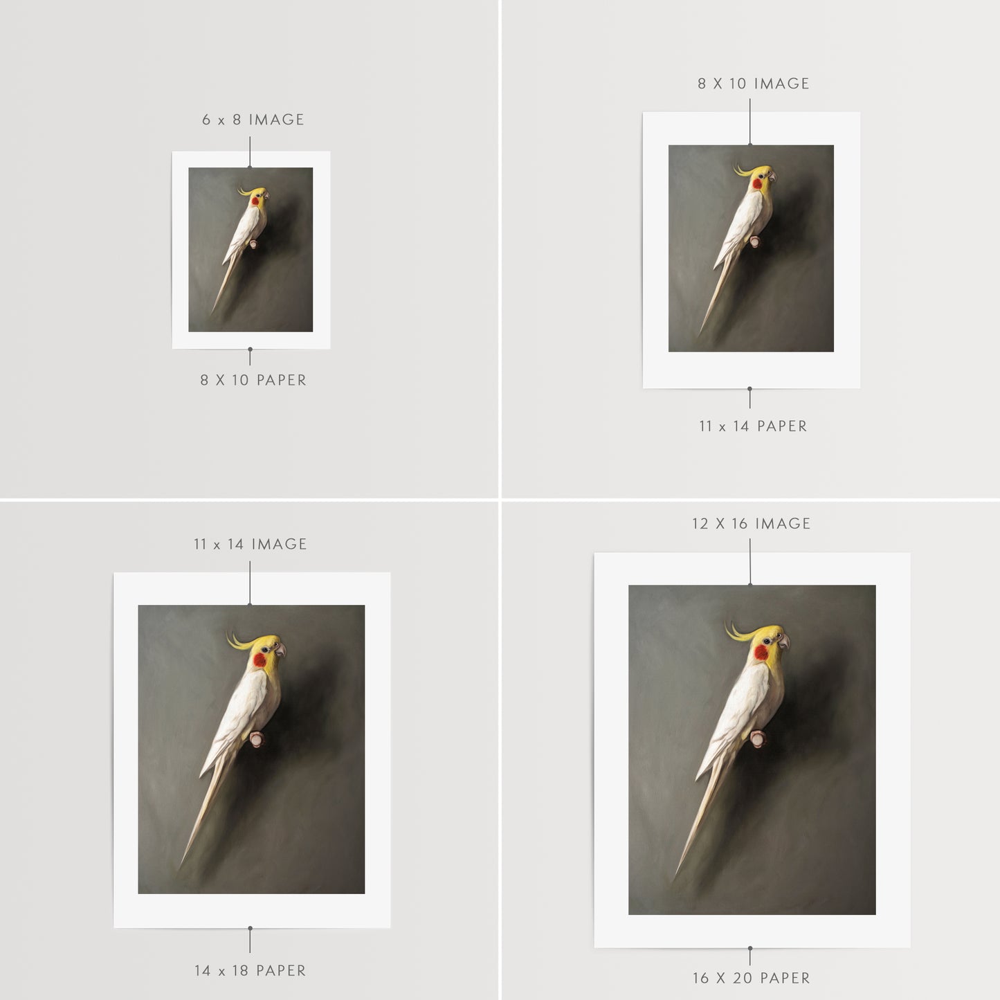 This artwork features a white lutino cockatiel perched adjacent to a dark grey wall with dramatic side lighting.