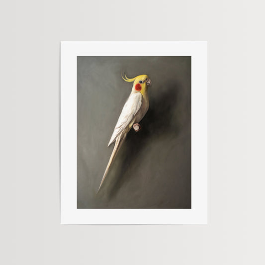 This artwork features a white lutino cockatiel perched adjacent to a dark grey wall with dramatic side lighting.