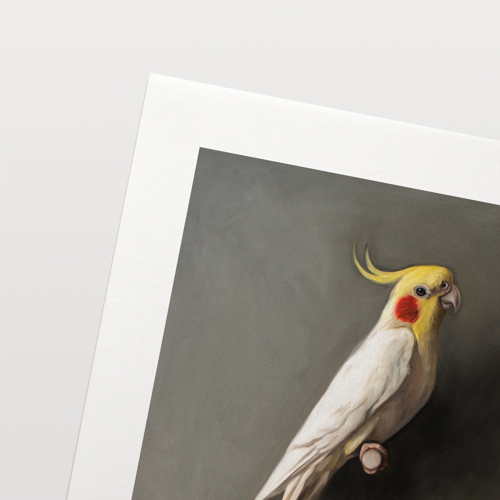 This artwork features a white lutino cockatiel perched adjacent to a dark grey wall with dramatic side lighting.
