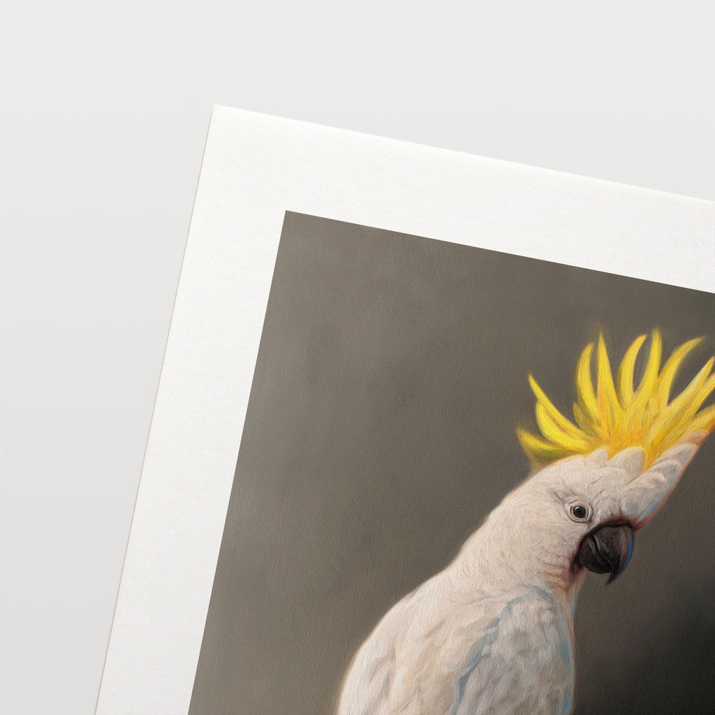 This artwork features a yellow crested cockatoo perched adjacent to a dark grey wall with dramatic side lighting.