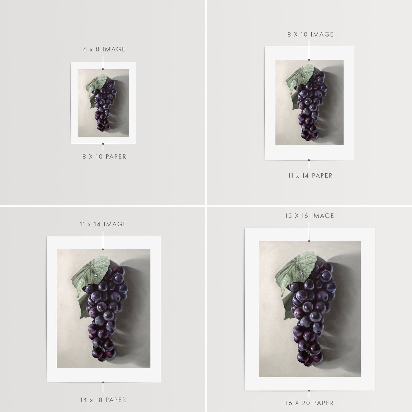 This artwork features a fresh bunch of Concord grapes resting on a light grey surface with some nice dramatic lighting.