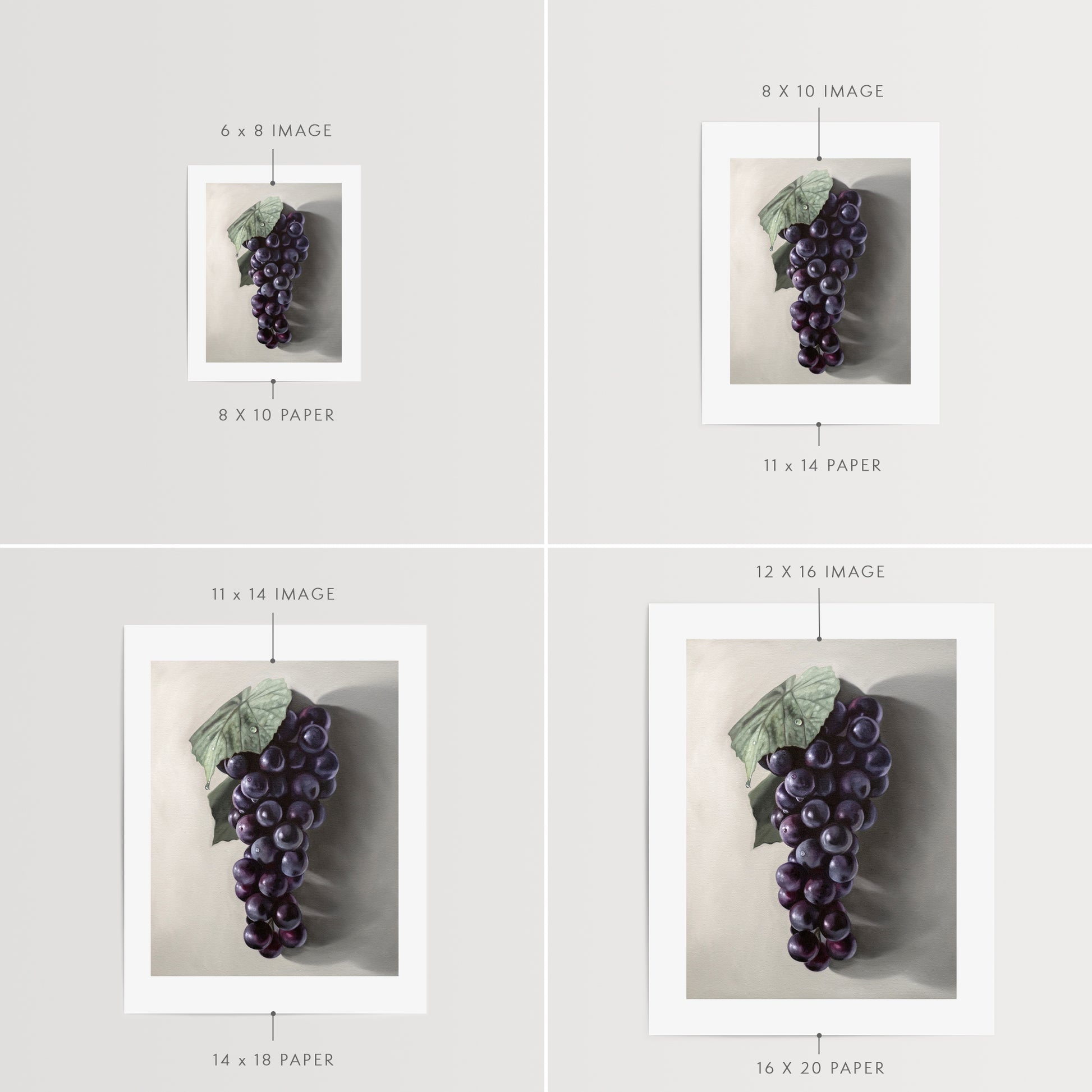 This artwork features a fresh bunch of Concord grapes resting on a light grey surface with some nice dramatic lighting.