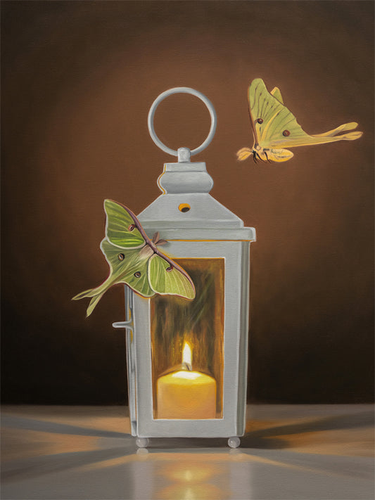 This artwork features a pair of Luna Moths attracted to a flame in a white candle lantern.