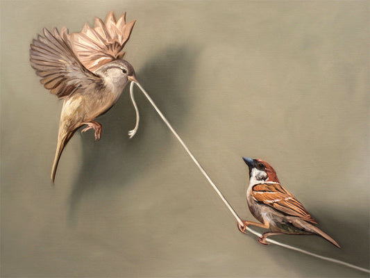 This artwork features a pair of house sparrows playing with a piece of white string