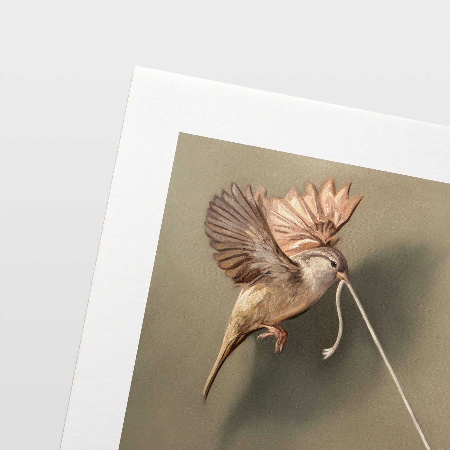 This artwork features a pair of house sparrows playing with a piece of white string