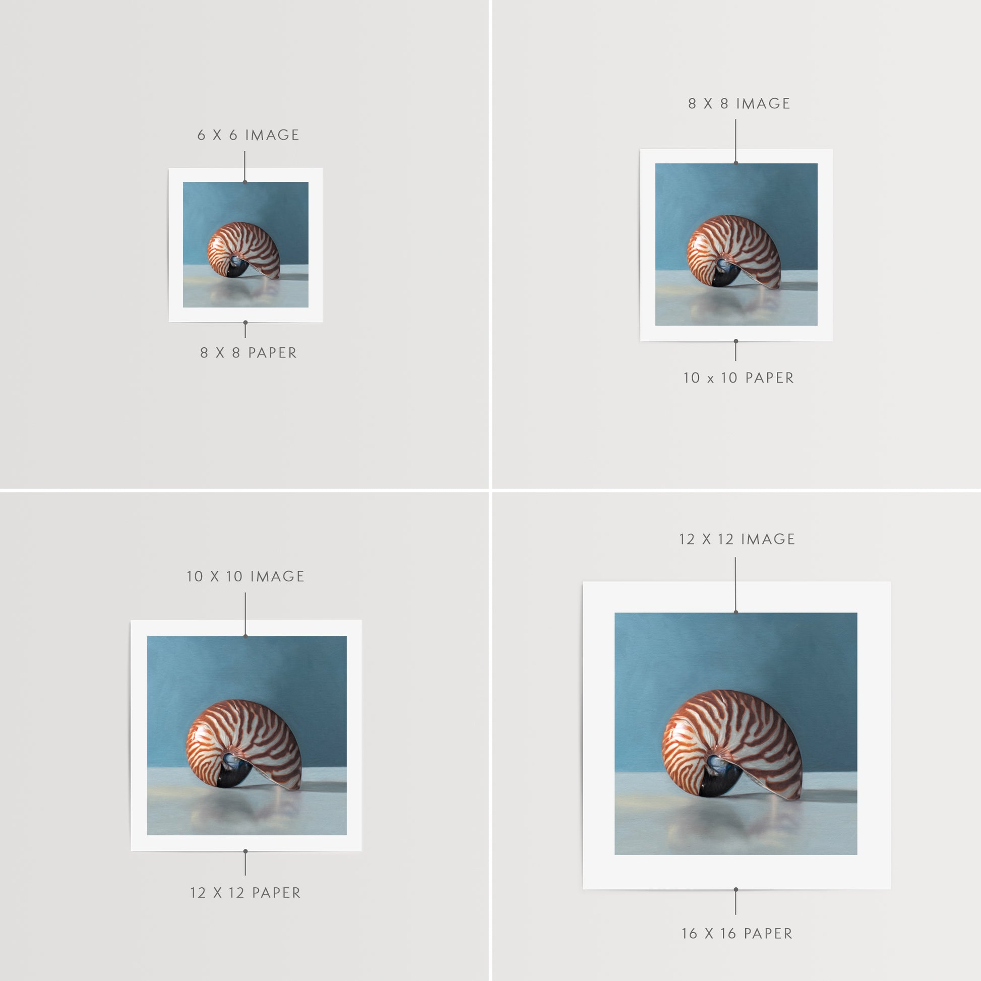 This artwork features a nautilus shell resting on a light, reflective surface with dramatic lighting and a blue background.