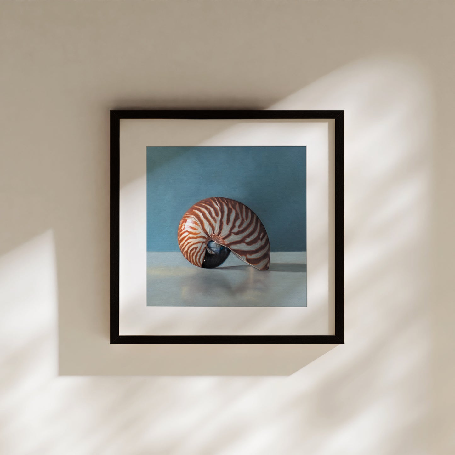 This artwork features a nautilus shell resting on a light, reflective surface with dramatic lighting and a blue background.