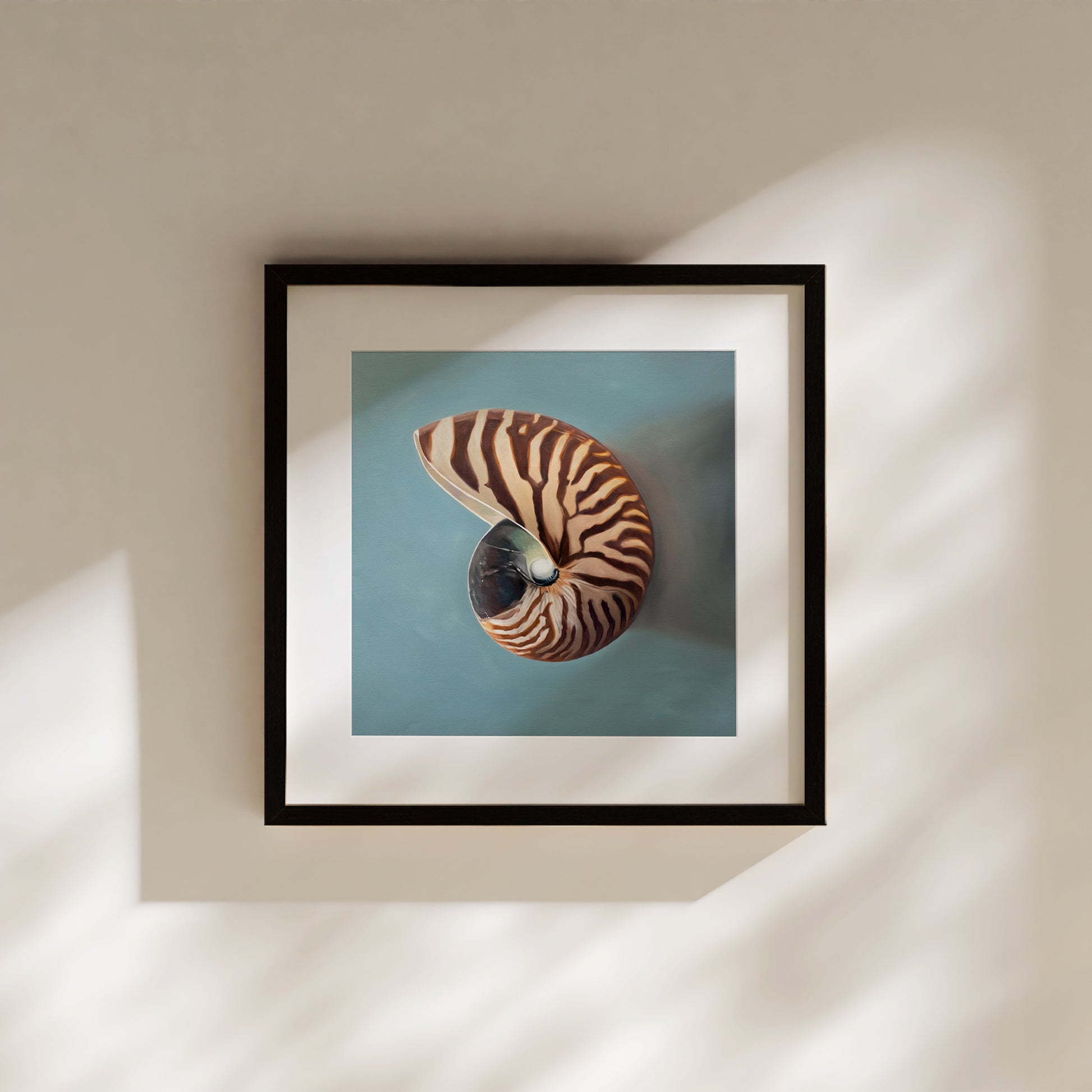 This artwork features a beautifully striped nautilus shell resting on a light blue surface.