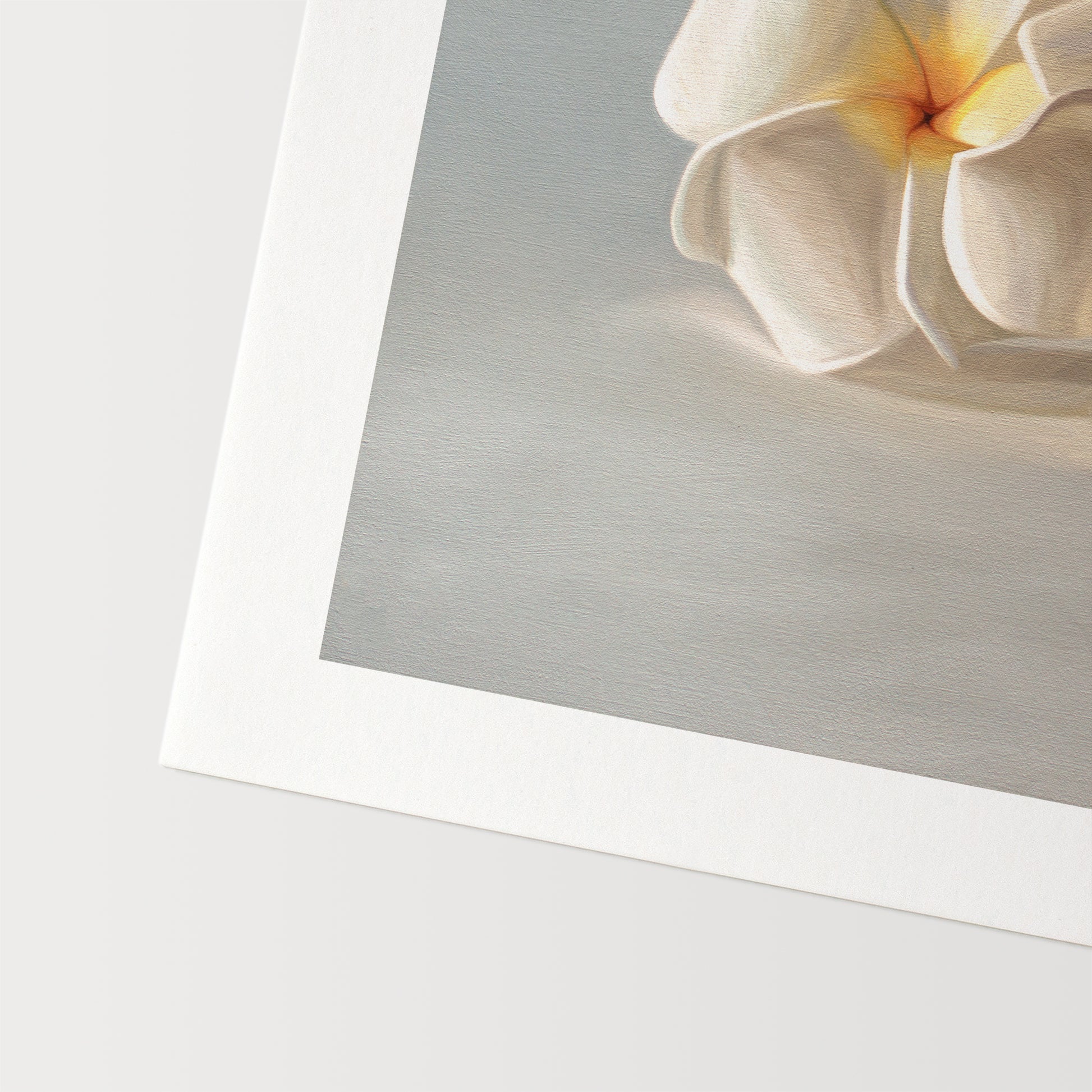 This artwork features a pair of white plumeria blossoms resting on a light bluegrey surface.