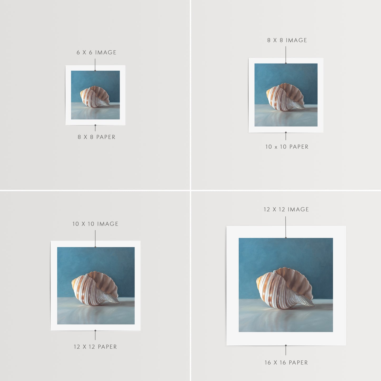 This artwork features yet another single seashell resting on a light surface with dramatic lighting and a soft mutedblue background.