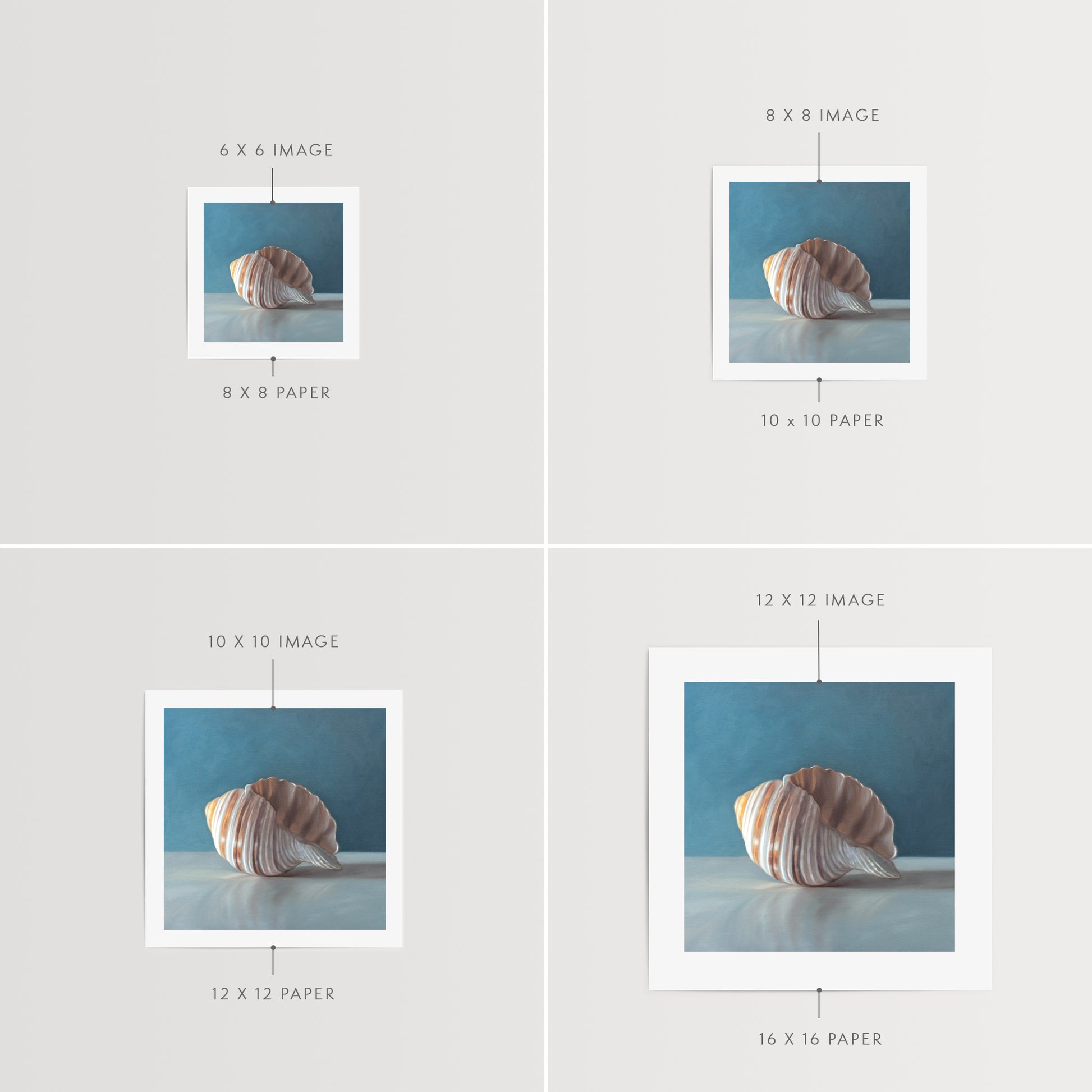 This artwork features yet another single seashell resting on a light surface with dramatic lighting and a soft mutedblue background.