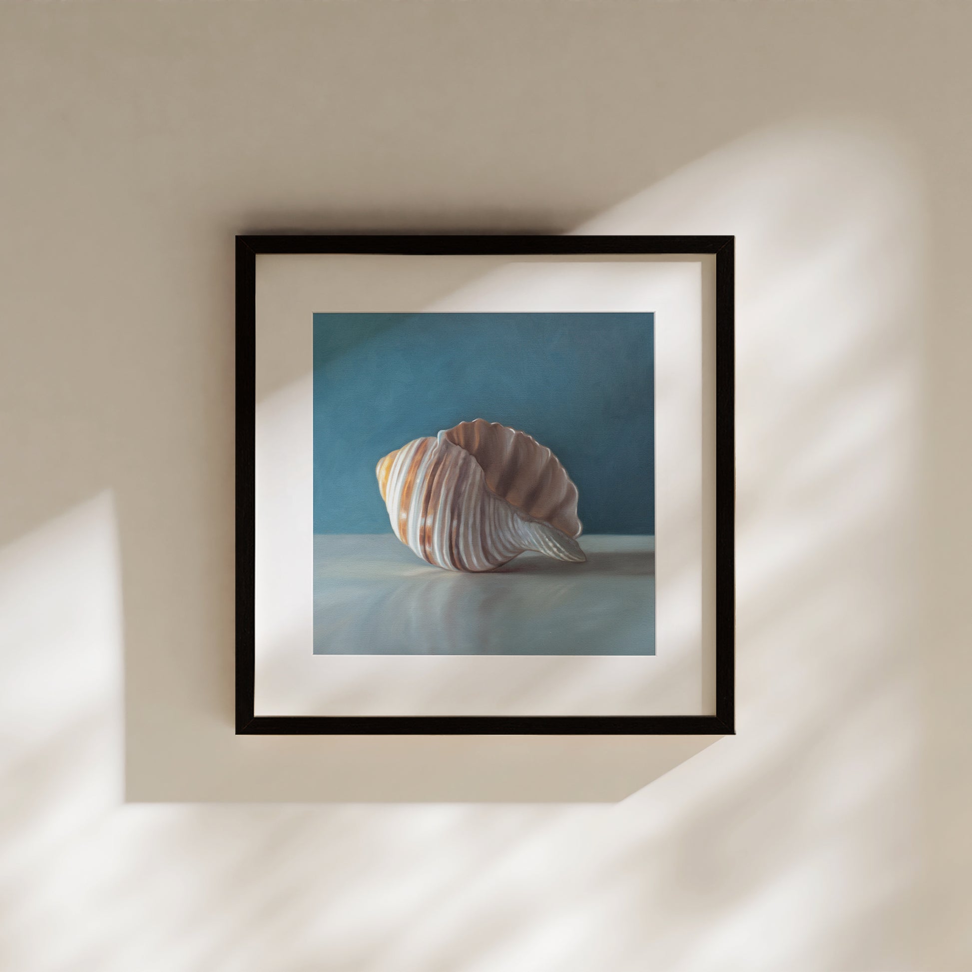 This artwork features yet another single seashell resting on a light surface with dramatic lighting and a soft mutedblue background.