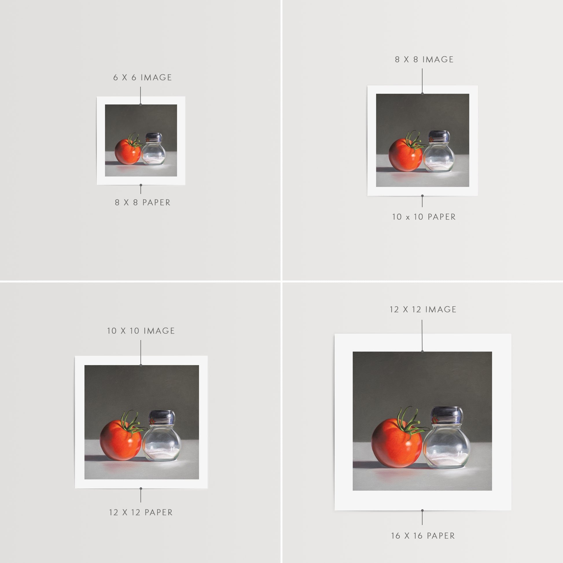 This artwork features a single fresh garden tomato situated by a reflective salt shaker.
