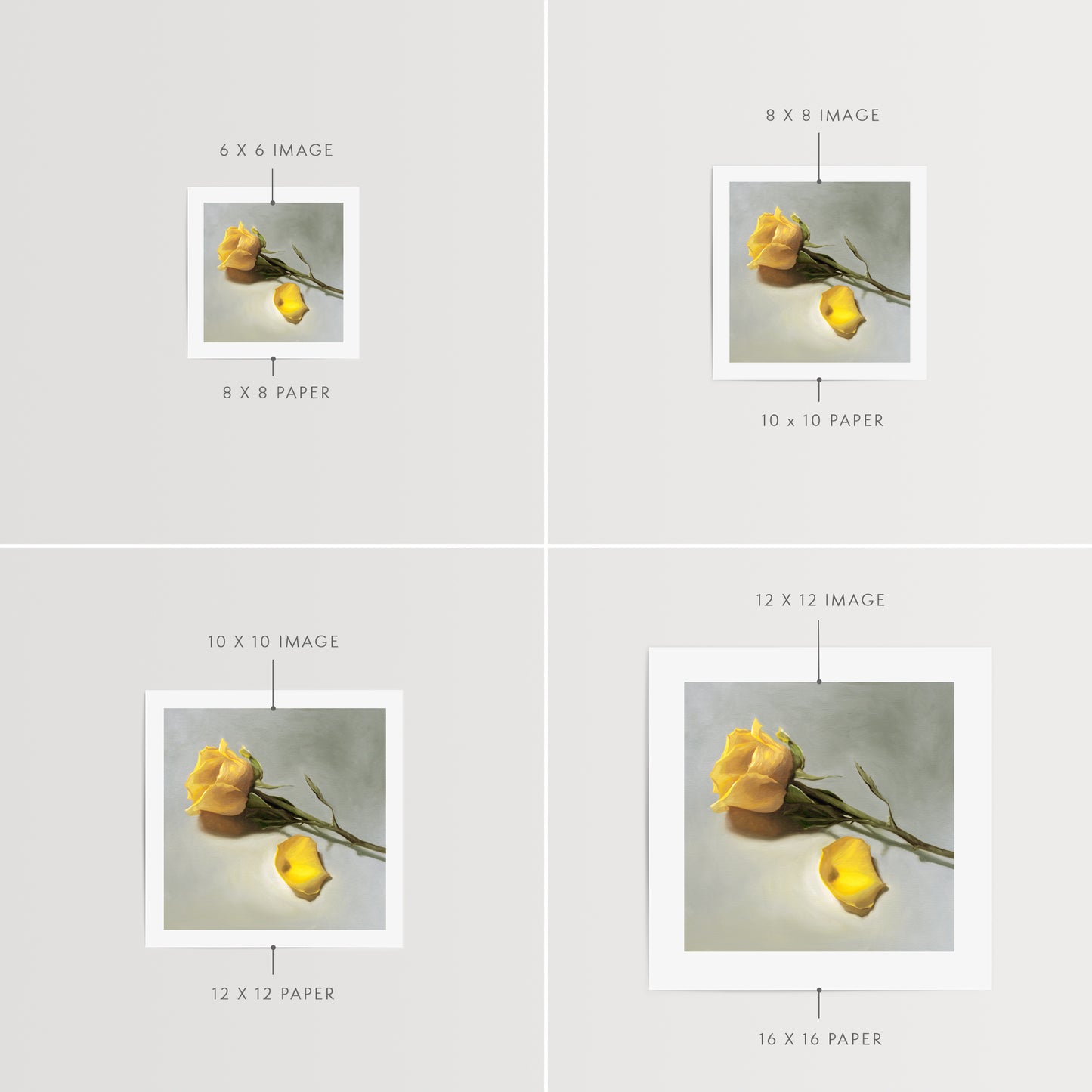 This artwork features a single yellow rose and petal laying on its side.
