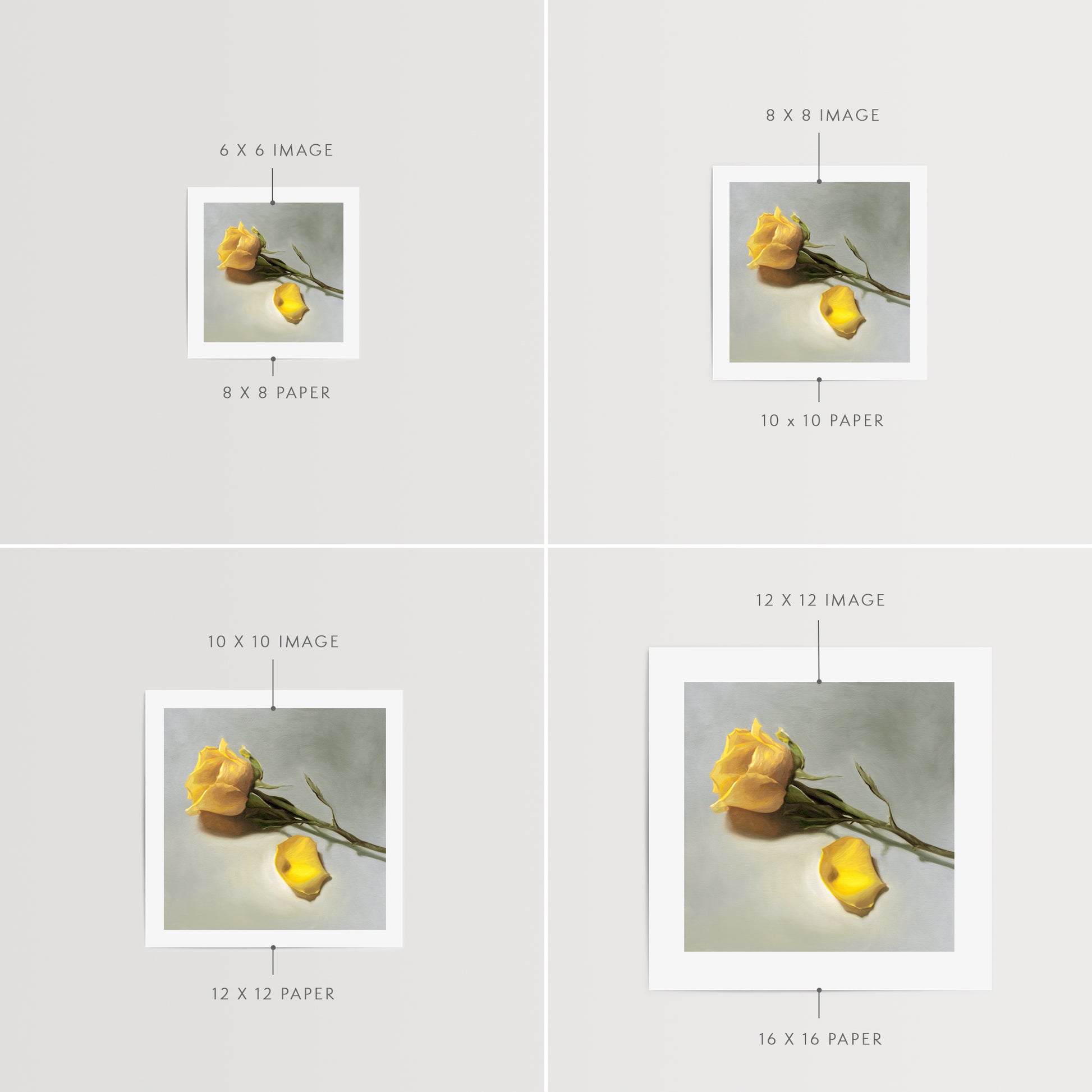 This artwork features a single yellow rose and petal laying on its side.