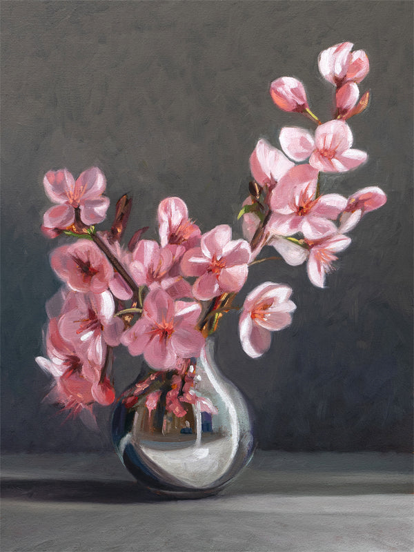 Cherry Blossoms
