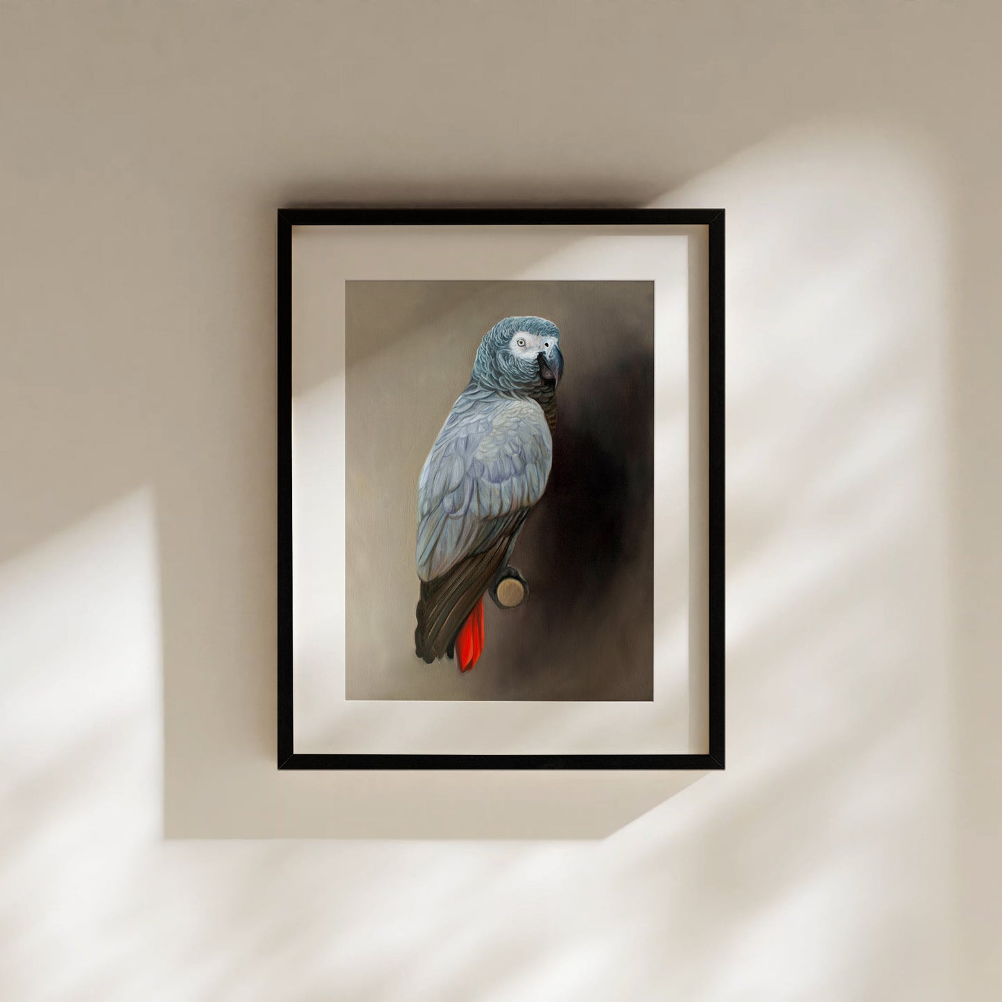 African Grey Parrot Fine Art Print by Lauren Pretorius: a Congo African Grey Parrot perched adjacent to a dark grey wall with dramatic side lighting.