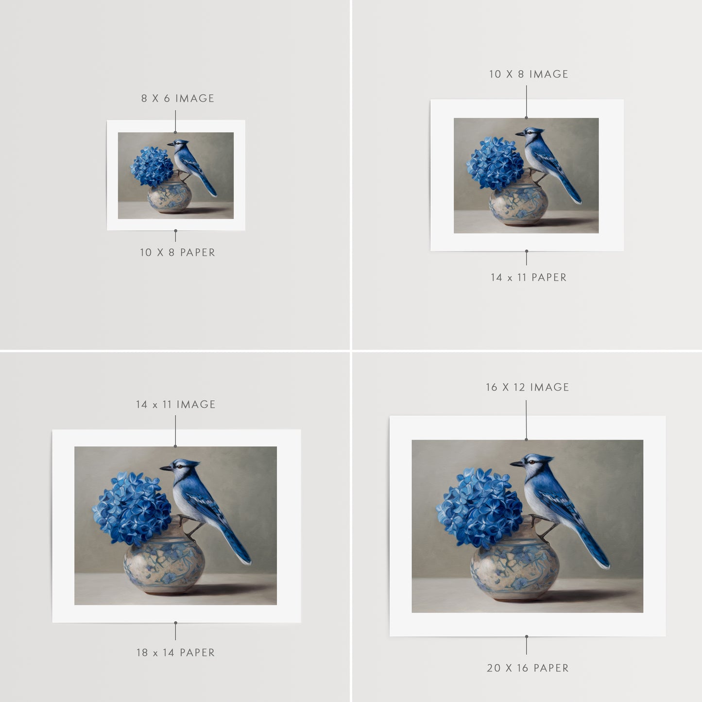 Blue Jay & Hydrangeas | Fine Art Print