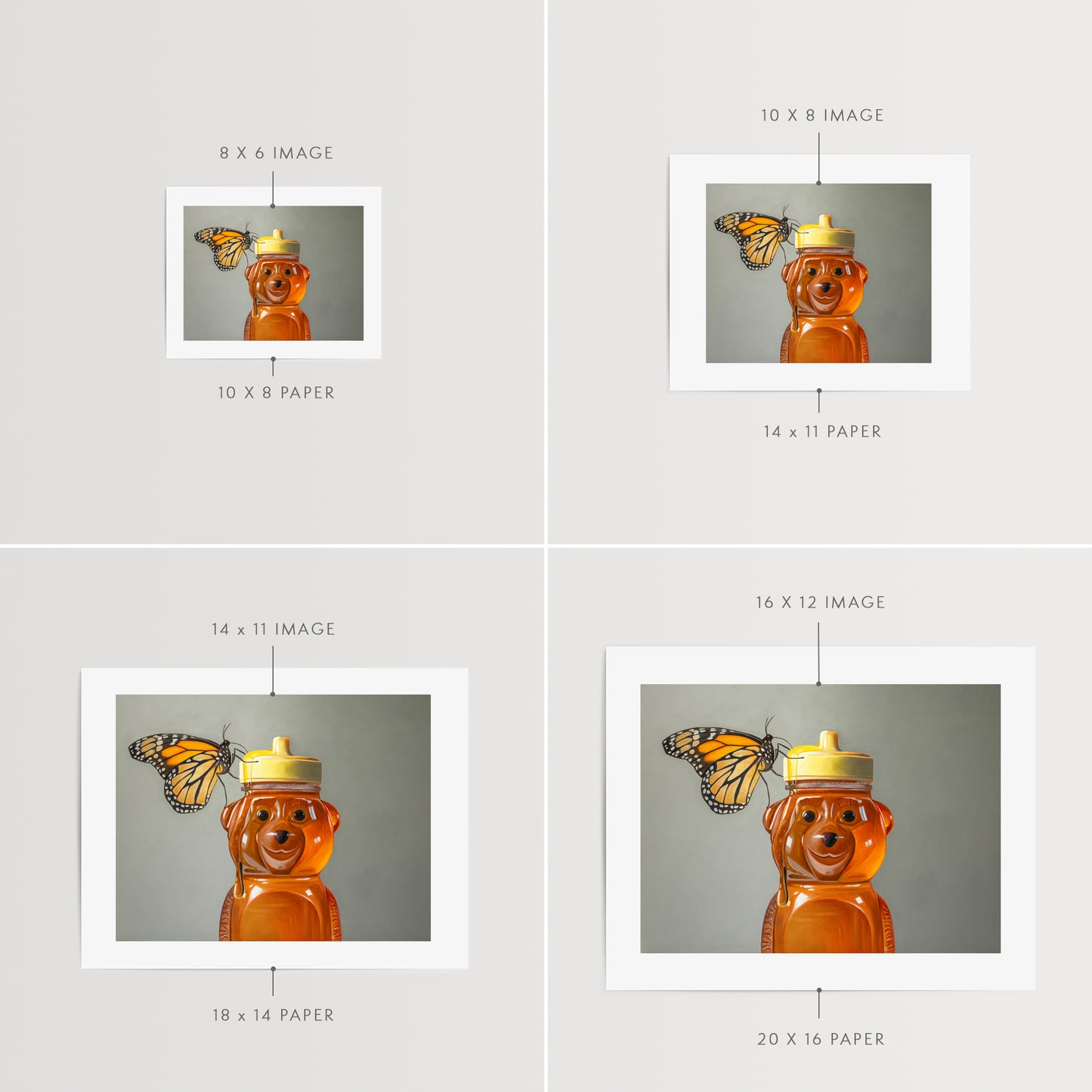 Honey Bear & Monarch Butterfly | Fine Art Print