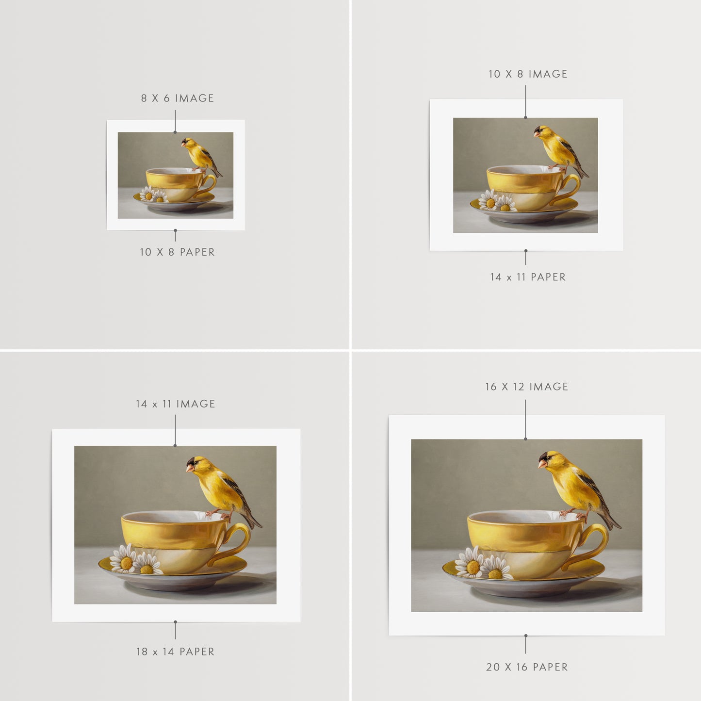Goldfinch & Yellow Cup | Fine Art Print