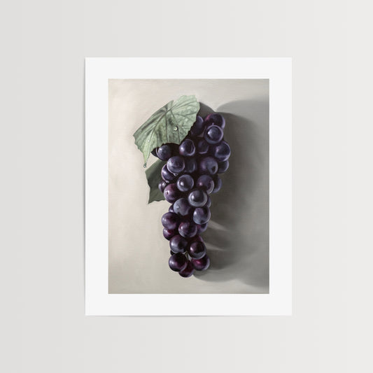 Concord grapes Fine Art Print by Lauren Pretorius: a fresh bunch of Concord grapes resting on a light grey surface with some nice dramatic lighting.