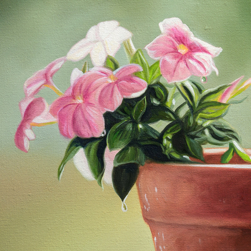 House Wren & Blossoms | 14" x 11" Original Oil Painting