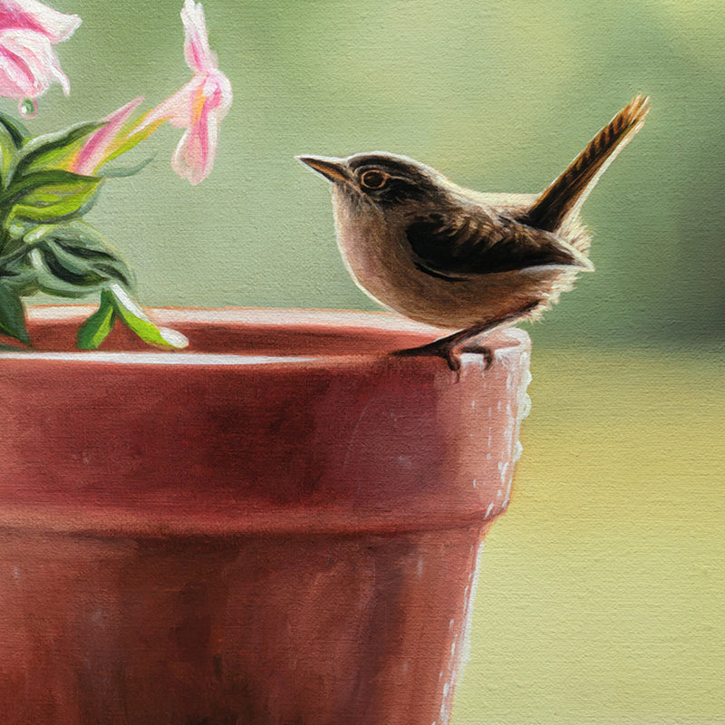 House Wren & Blossoms | 14" x 11" Original Oil Painting