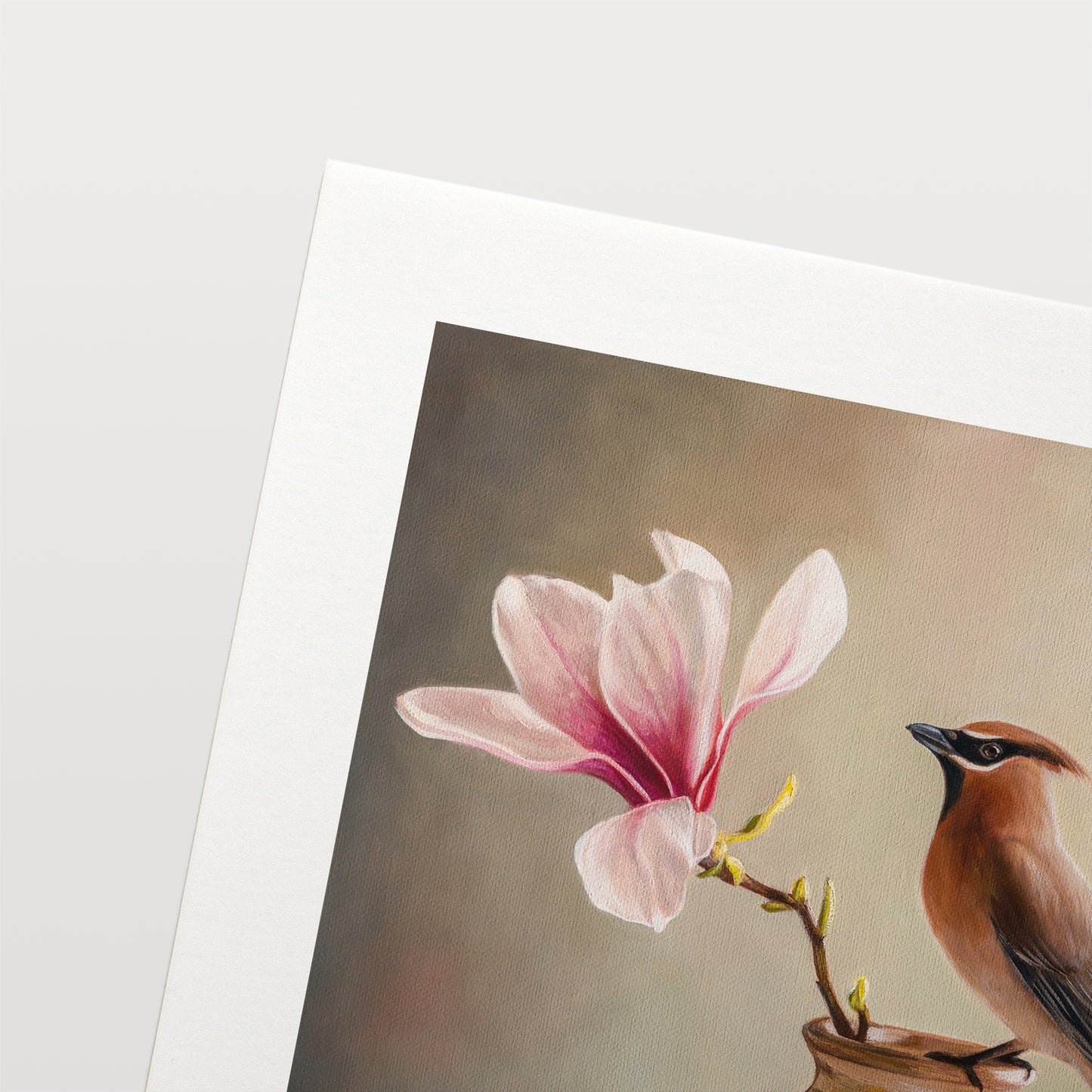 Magnolia & Waxwing