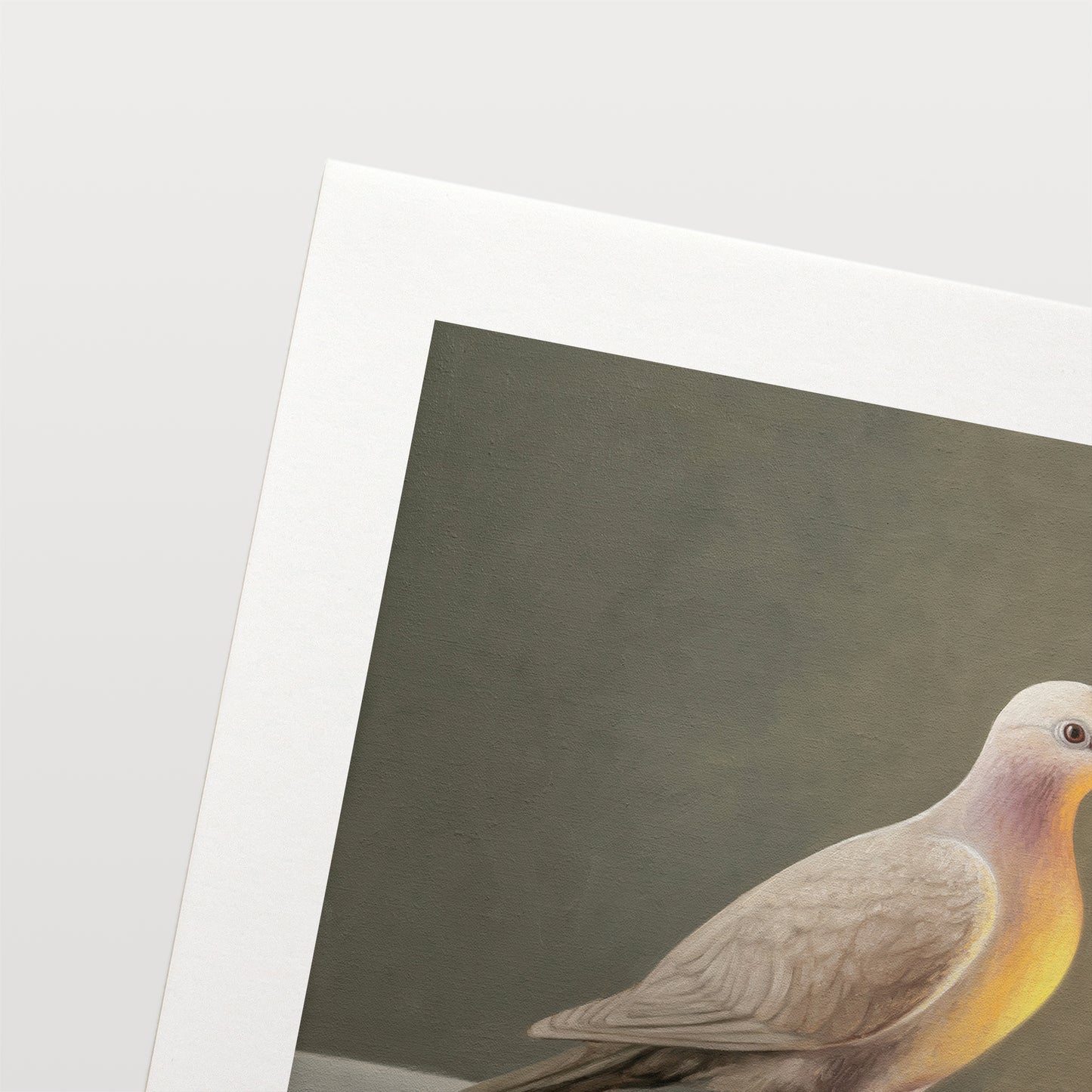 Dove & Candle