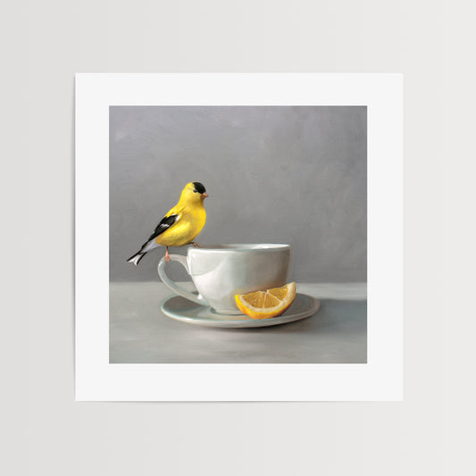 Goldfinch and Lemon Tea Fine Art Print by Lauren Pretorius: an American Goldfinch perched on a cup of lemon tea.is from a series of paintings that I am working on birds and beverages.