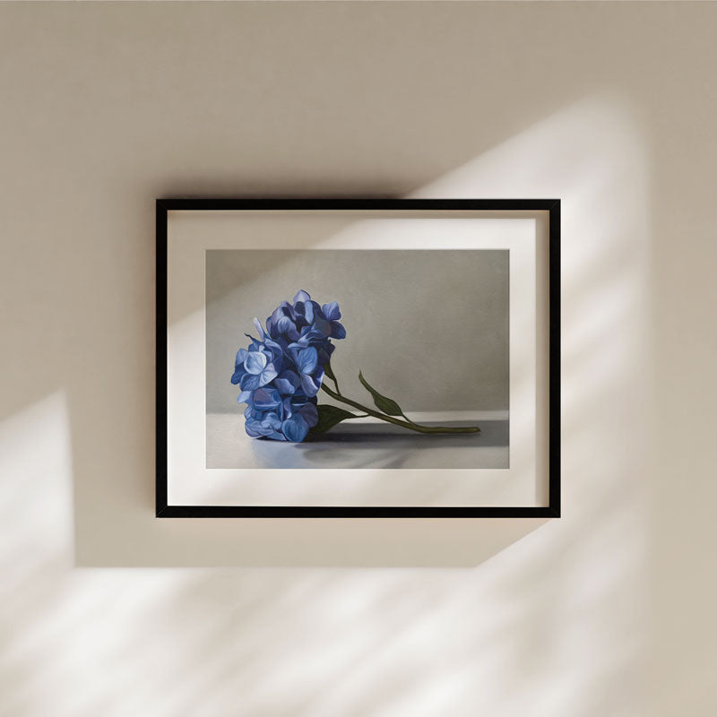 Fine art print of blue hydrangeas on cotton rag paper, displayed in a minimalist black frame with a white mat border.