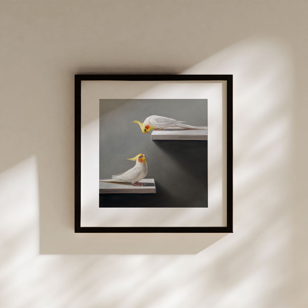 Pair of Cockatiels • Fine Art Print