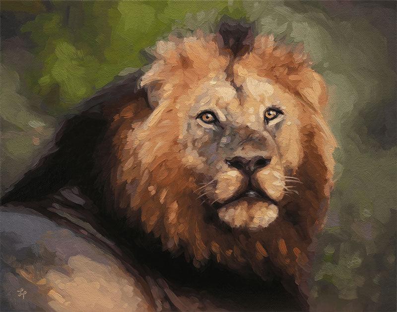Original 14x11 inch oil painting on canvas featuring a detailed portrait of a South Shishangeni lion with a golden mane.