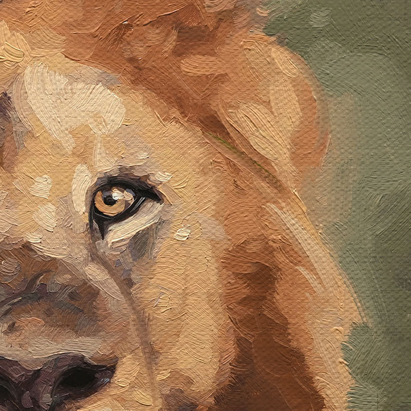 Original oil painting of a South Shishangeni lion on 14x11 canvas, featuring expressive, textured brushstrokes in earthy tones.