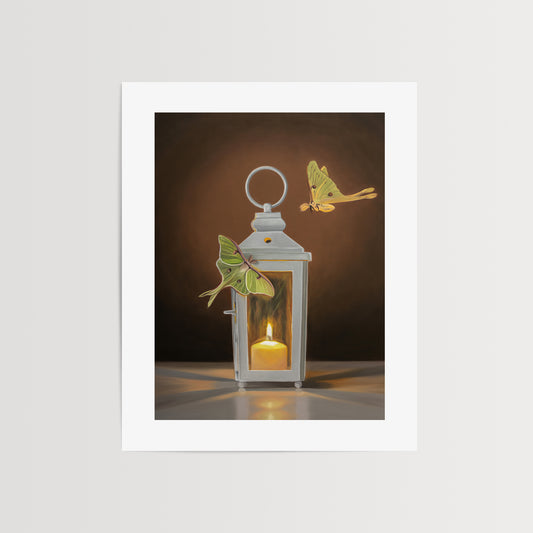 Luna Moths & Lantern Fine Art Print by Lauren Pretorius: a pair of Luna Moths attracted to a flame in a white candle lantern.