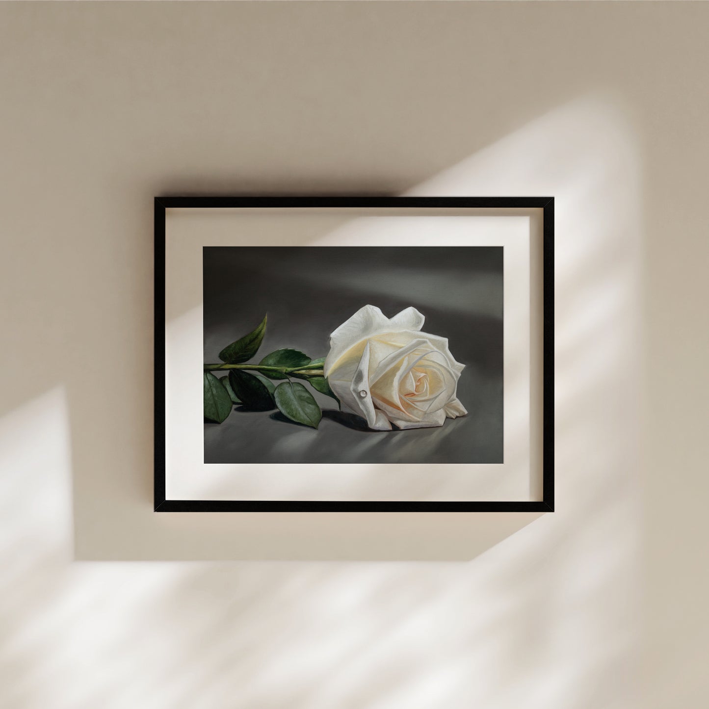 White Rose Fine Art Print by Lauren Pretorius: a white rose laying on its side on a dark grey surface.
