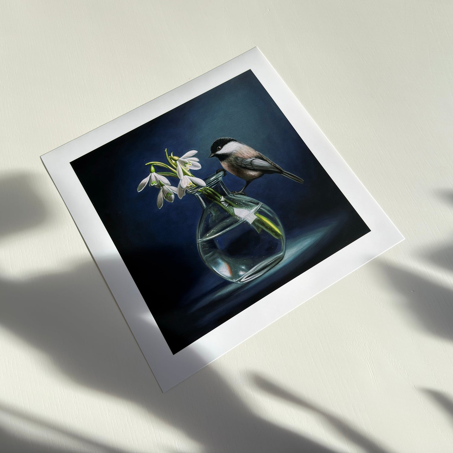 prints • new arrivals