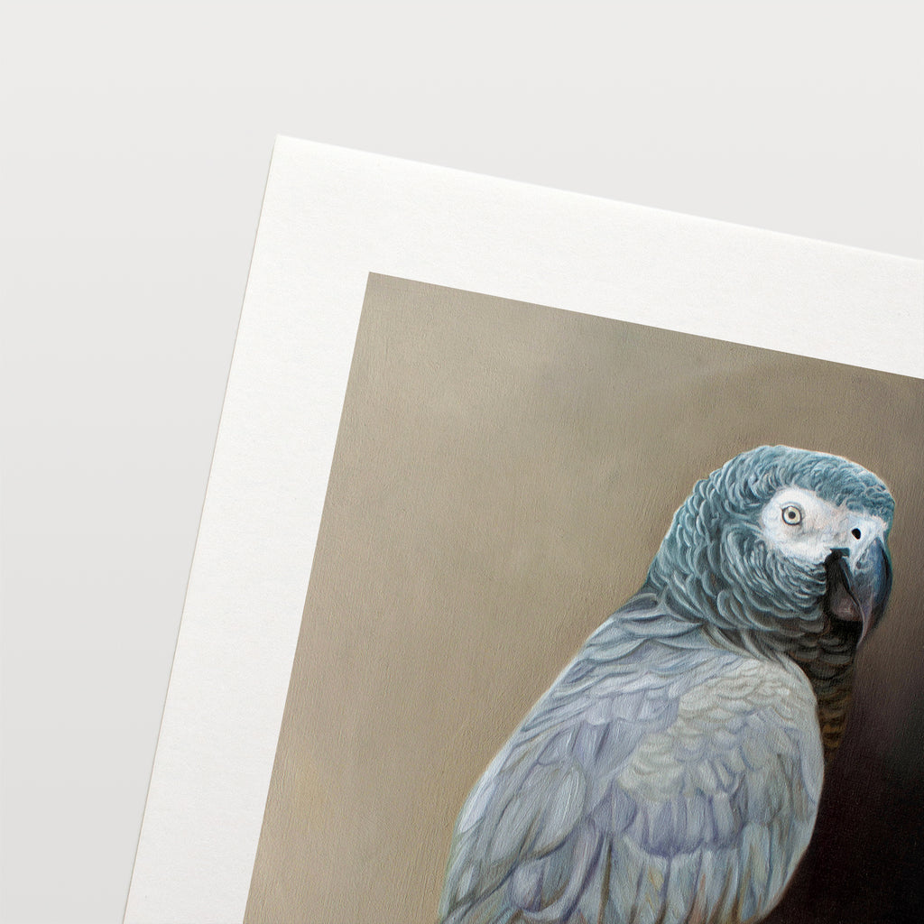 This artwork features a Congo African Grey Parrot perched adjacent to a dark grey wall with dramatic side lighting.
