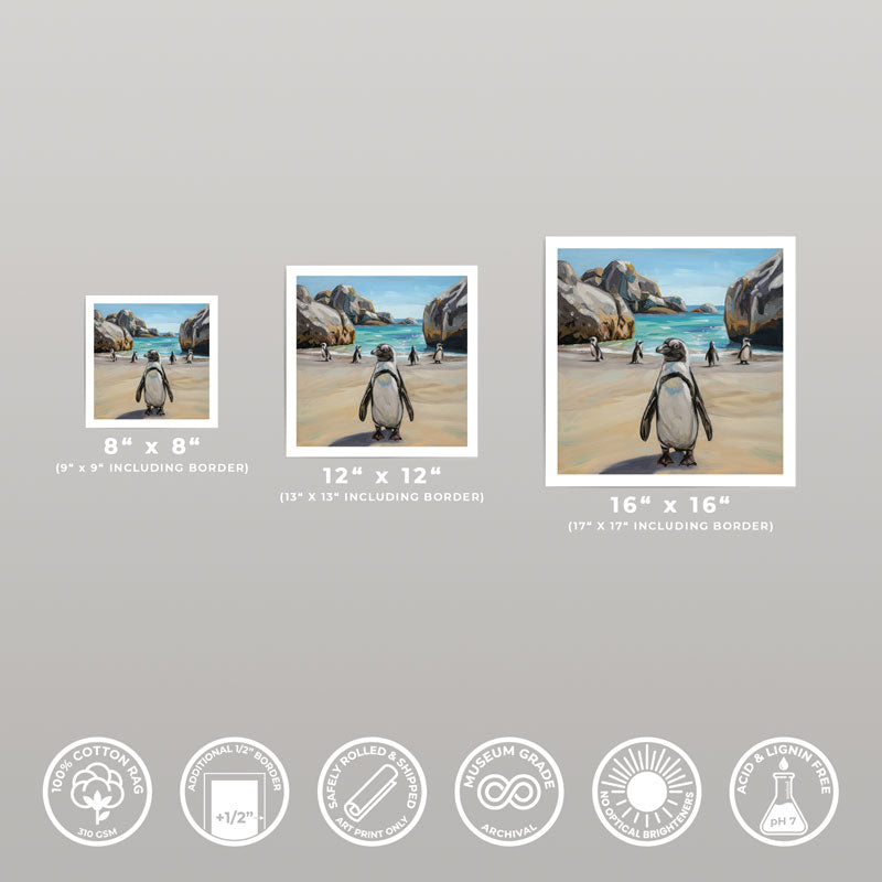 Cape Town Penguins • Fine Art Print