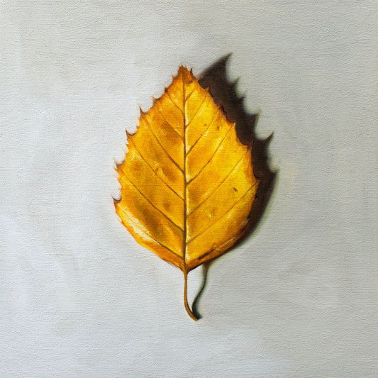 This artwork features a single Birch tree leaf in its brilliant Autumn yellow color.