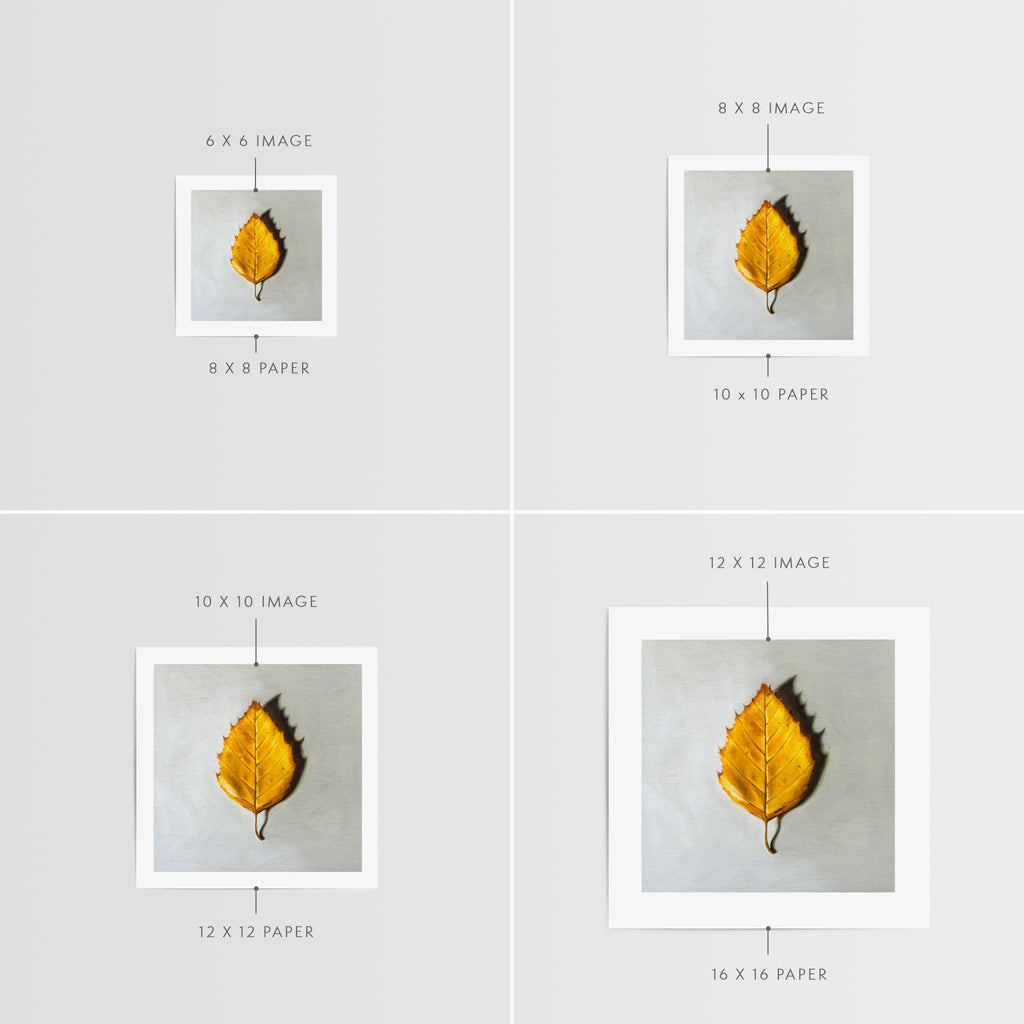 This artwork features a single Birch tree leaf in its brilliant Autumn yellow color.