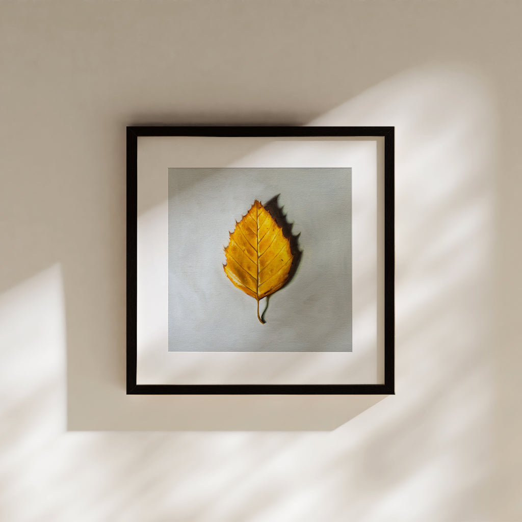This artwork features a single Birch tree leaf in its brilliant Autumn yellow color.